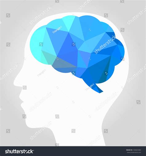Brain Vector 的图像结果