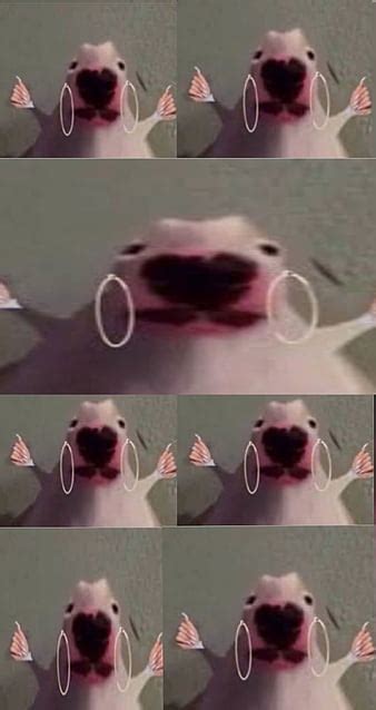 Fart Meme Sound Origin 的图像结果