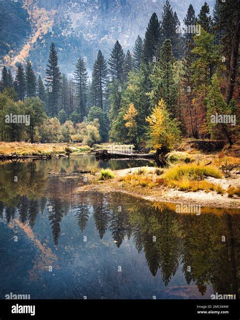 The Merced River flows through Yosemite Valley in the late fall ...