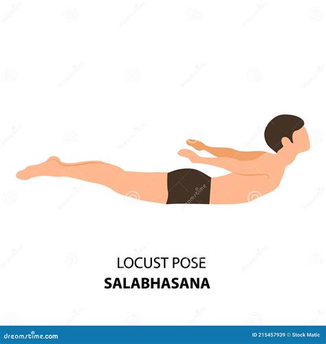 Man Doing Yoga Locust Pose or Salabhasana Vector Stock Vector ...