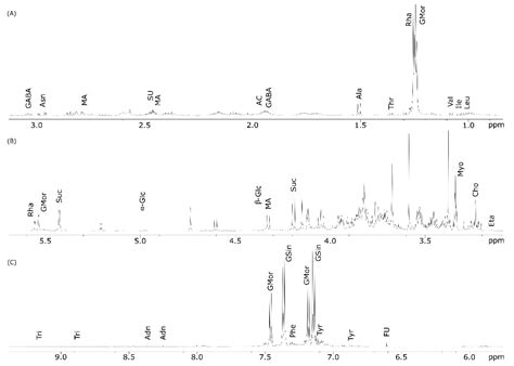 Chemical Analysis and Antimicrobial Activity of Moringa oleifera Lam ...