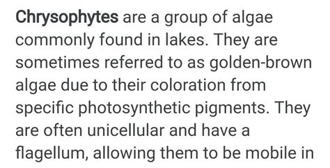12 write a note on chrysophytes, Dianoflagellatesates Euglenoids ...