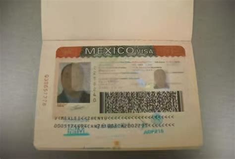 墨西哥签证申请表材料模板_墨西哥签证代办服务中心