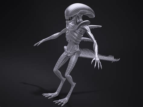 Alien Xenomorph 3D Model 的图像结果