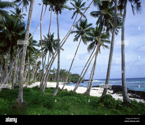 'Return to Paradise' Lefaga Beach, Upolu Island, Samoa Stock Photo - Alamy