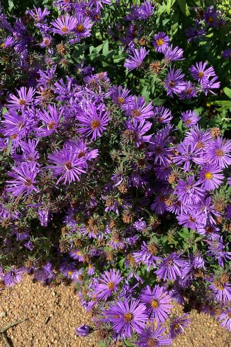 Experiencias de Airbnb