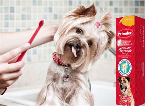 Image result for Animal Toothpaste