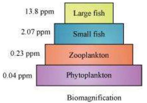 SATHEE: Chapter 16 Enviromental Issues