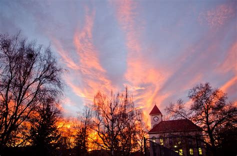 Whitman College Admissions: Acceptance Rate, Requirements, Deadlines ...