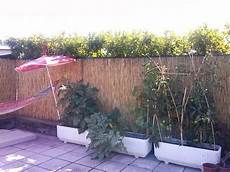 l orto in terrazza barabao creare un orto in terrazza l orto in terrazza barabao creare un orto in terrazza