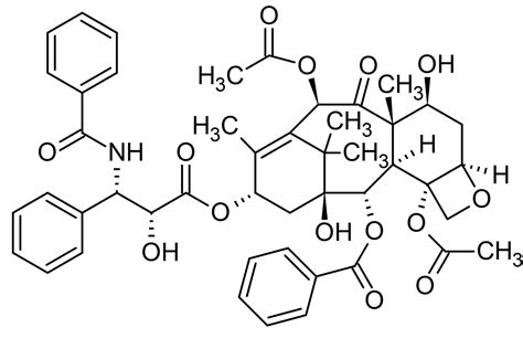Paclitaxel, Anticancer agent (ab120143) | アブカム