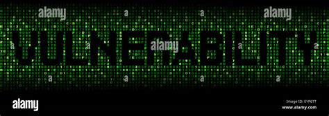 Image result for Finding Vulnerabilities Using Hex Bar