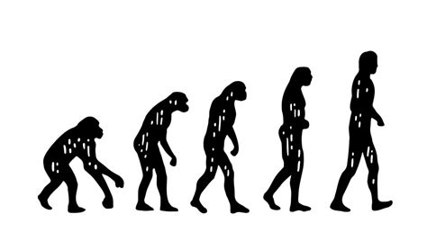 Men Evolution Chart 的图像结果