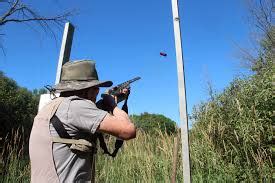 Image result for Sporting Clays Tutorial