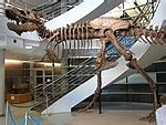 Image result for Software Testing Tools Notes