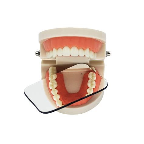 Dental Photography Mirrors Two Sided Sided Mouth Occlusal Glass ...
