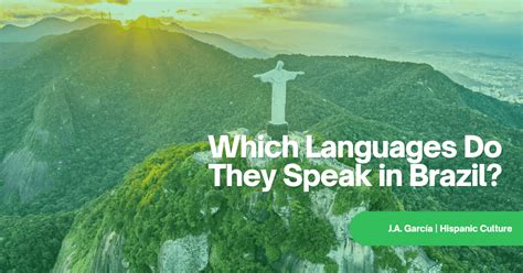 What Language Brazilian Speak 的图像结果