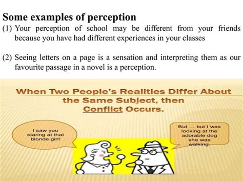 Perception Examples 的图像结果