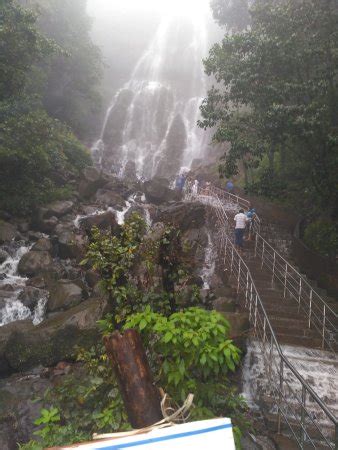 Amboli Water Falls - 2018 What to Know Before You Go (with Photos ...