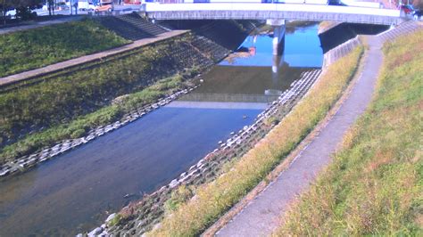 Image result for O2 Sensor 719084