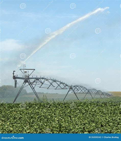 Watering a Soybean Crop stock photo. Image of water, bean - 26359242