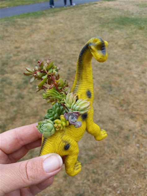 Succulent Dinosaur Planters, Mattice Beauty Supply, South 12th Street ...