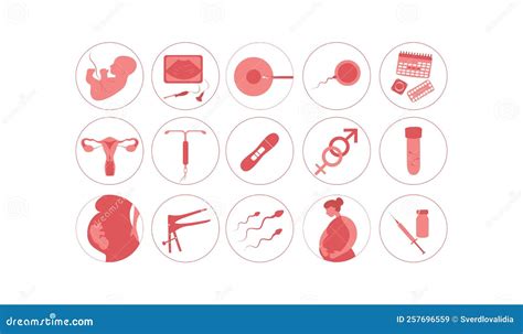 Image result for Fertility Rate Icon