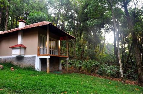 LANTERN STAY (Kalpetta, Kerala) - Lodge Reviews, Photos, Rate ...
