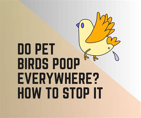 Image result for Bird Poop Reactions