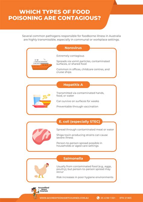 Is Food Poisoning Contagious? Causes, Risks & Prevention Explained | Accredited Short Courses