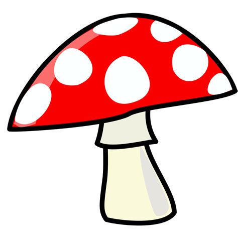 File:Mushroom.svg - Wikipedia