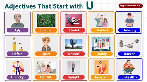 Adjectives Starting with U: 150+ Essential Words for Learners