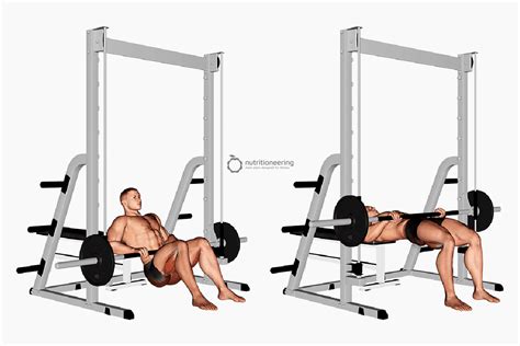 Image result for Hip Thrust Muscles