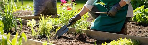 Pure & Organic Super Vermicompost for All Types of Plants (5Kg ...