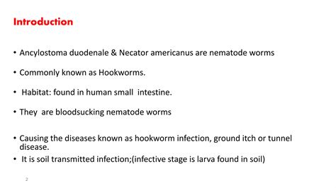 Hookworms | PPTX