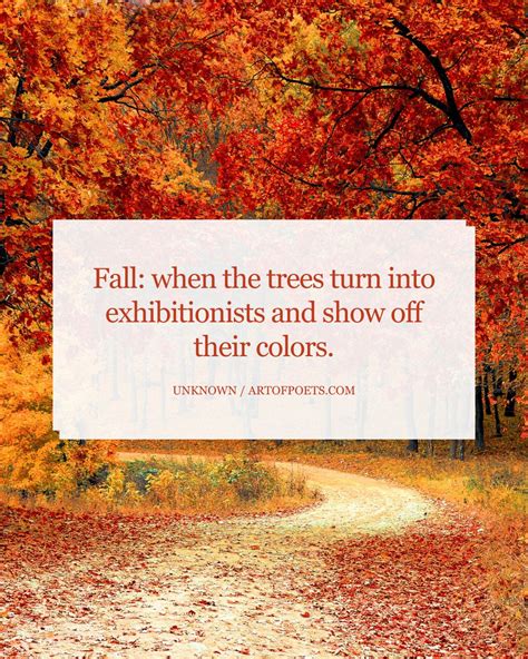 22 Best Funny Fall Quotes for Autumn 2025