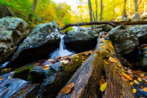 Shenandoah Gem: A Guide to Hiking the White Oak Canyon Trail