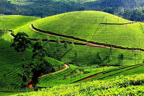 இஸ்லாம் உங்கள் கையில்: Munnar Sightseeing | Munnar Hill Station