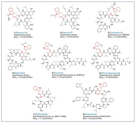 The Antitubercular Activities of Natural Products with Fused-Nitrogen ...