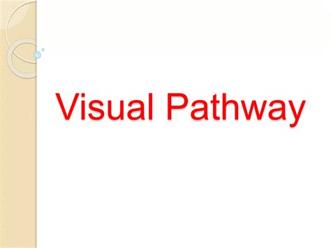 Visual Pathway Steps 的图像结果