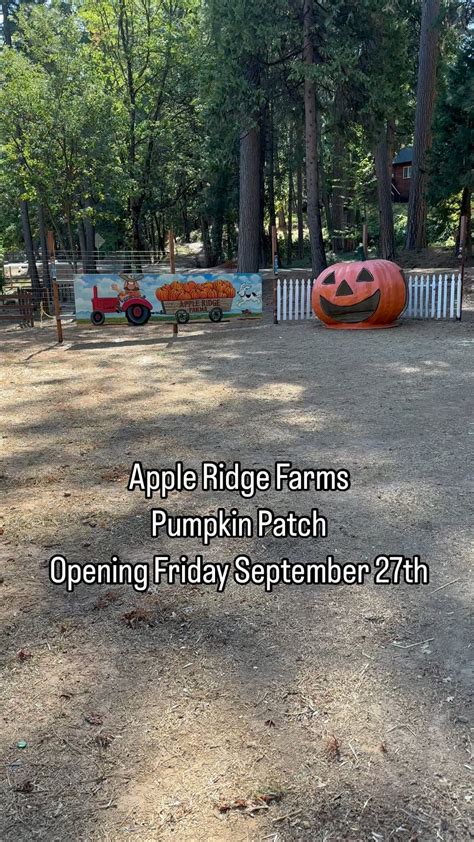 Apple Ridge Farms (@appleridgefarms) • Instagram photos and videos