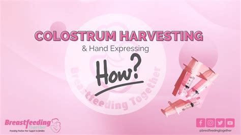 Hand Expression Colostrum 的图像结果