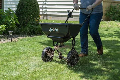When Is The Best Time To Plant Grass Seed In Wisconsin | Storables - when is best time to seed lawn