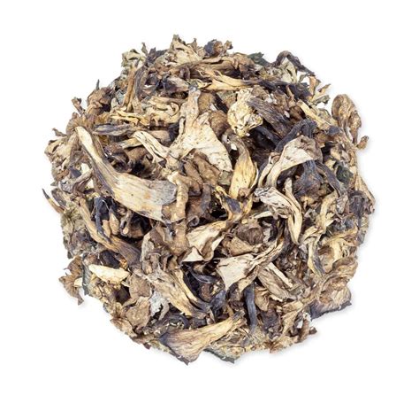 Dried Black Trumpet Mushrooms | Buy Black Trumpet Mushrooms Online