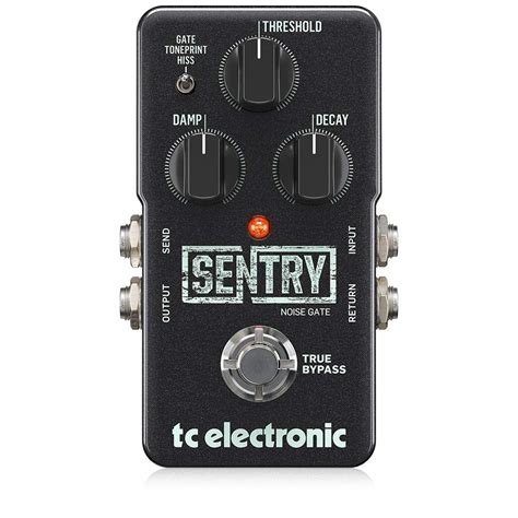 TC Electronic EQ Effects Pedal, Regular (SENTRY NOISE GATE) : Amazon.in ...