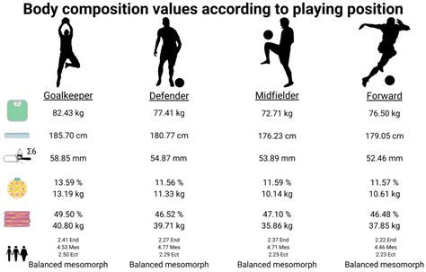 Body Composition Height at Desmond Kelley blog