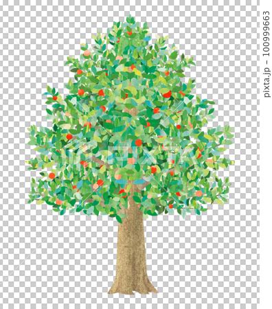 Image result for Algorithm Flowchart Back