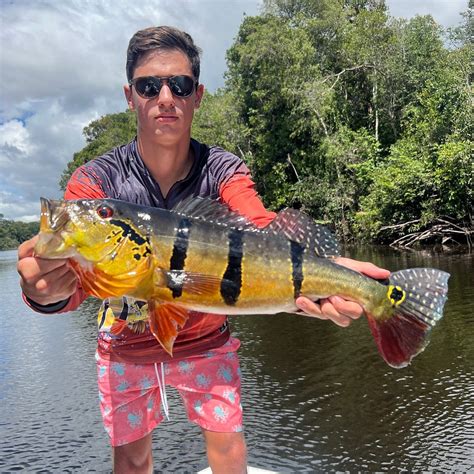 BARCO TEMENSIS (2025) All You Need to Know BEFORE You Go (with Photos ...