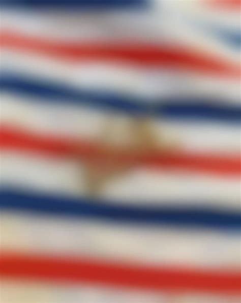 Voting Pin 的图像结果