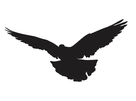 vogel - vliegend duif silhouet 12904599 PNG